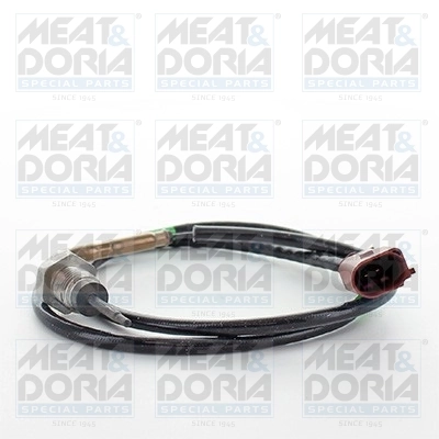 Sensor, exhaust gas temperature